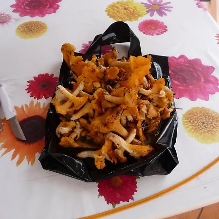 Mazurska Perla Malgorzata